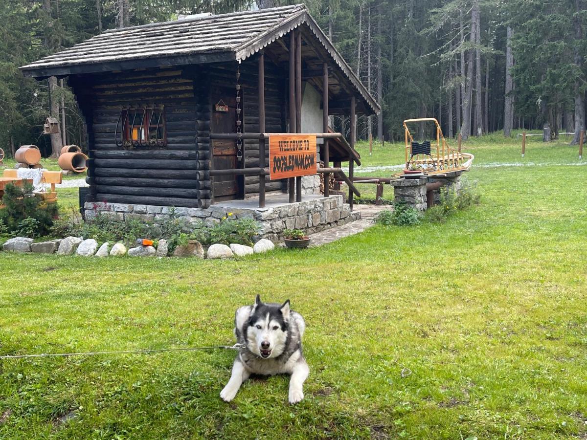 Wildhomes Wild Wolf Lodge Courmayeur Exterior foto