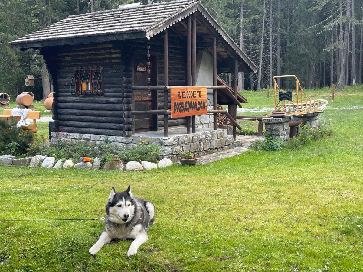 Wildhomes Wild Wolf Lodge Courmayeur Exterior foto
