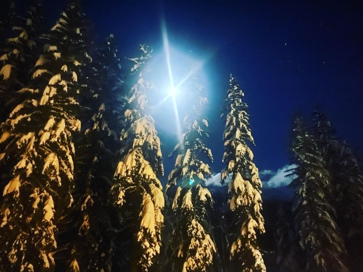 Wildhomes Wild Wolf Lodge Courmayeur Exterior foto