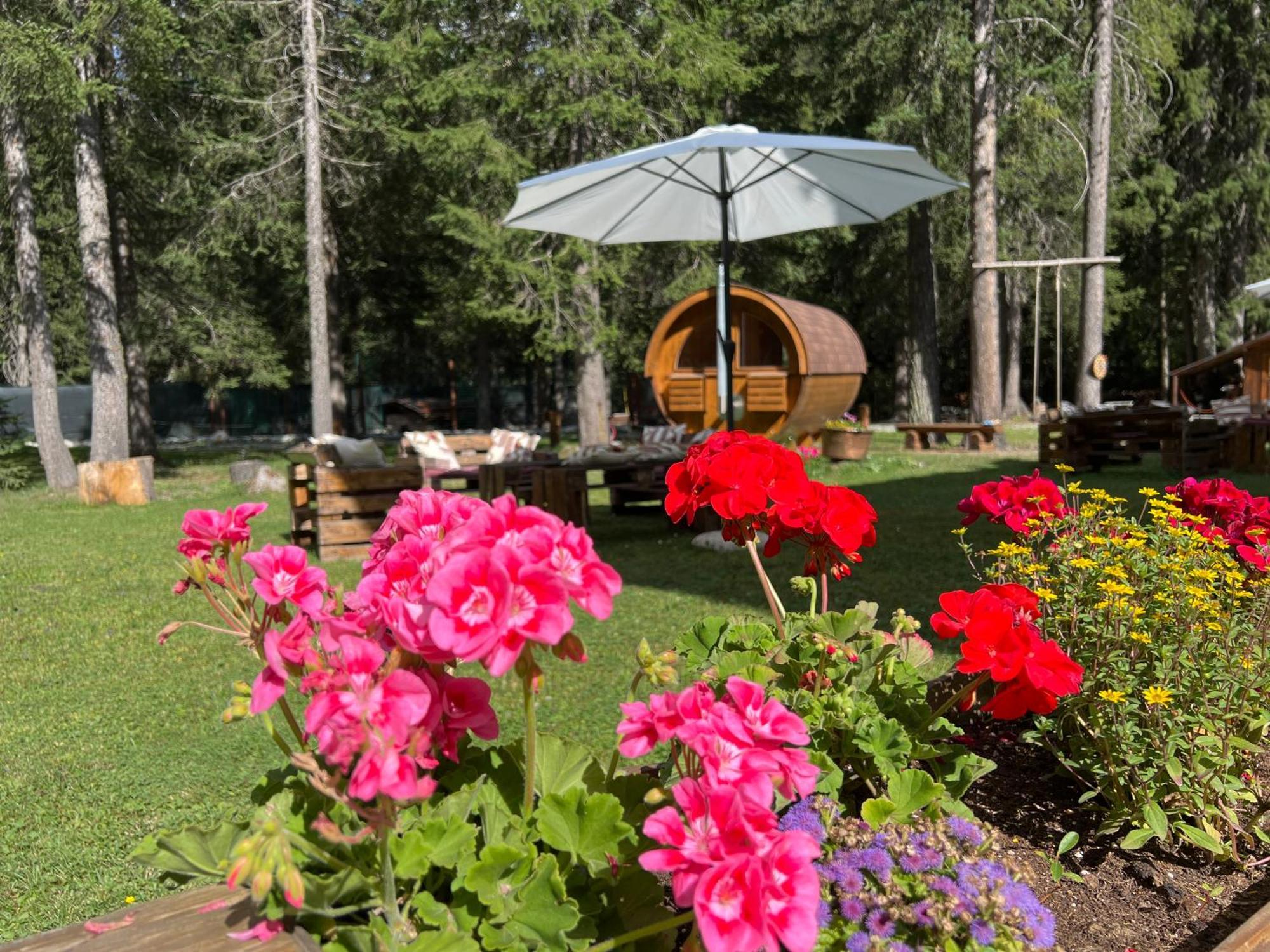 Wildhomes Wild Wolf Lodge Courmayeur Exterior foto